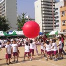 조동초등학교 이미지