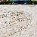 지족초등학교 이미지