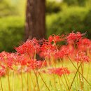 석산