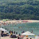 용화파도민박 | 강원도 삼척 스노클링 포인트 용화방파제 용화해수욕장 완전 실패한 썰 주차 파라솔 샤워 팁