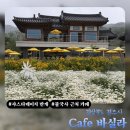 경주바람곳게스트하우스 | 경주 바실라 카페 5월 6월 샤스타데이지 만개 현황 | 불국사 근처 카페 추천