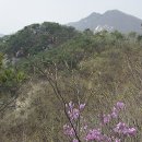 천보산주유소 이미지
