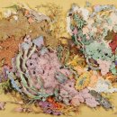 동양섬유 이미지