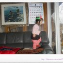다해랑 이미지