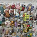 펫츠아일랜드 이미지