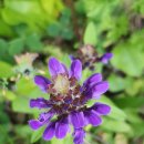 마이산길 이미지