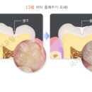 인서울치과의원 이미지