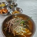 백두대간약초나라 | 국내여행 백두대간 협곡열차 V train 체험 후기