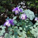 유호엔씨티 공인중개사사무소 이미지