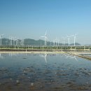 천일태양광발전소 이미지