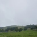 고산목장 이미지