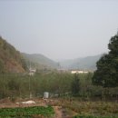 매곡리 Daum카페