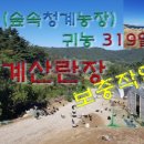 삼닭농장 이미지