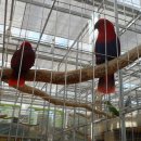 경주버드파크 이미지