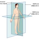 윤진화퍼스널트레이닝 네이버블로그