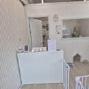 뽀송하댕 | 용인 애견미용 찾는다면 여긴 꼭! 뽀송하댕 후기