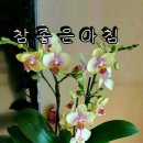 좋은날만 이미지