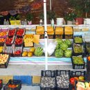 오부자청과 이미지