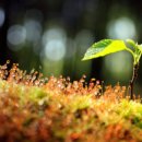 자연의 순환 이미지