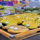 지석강마트 이미지