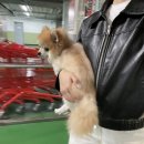 도담도담캔넬 이미지