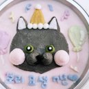 멍냥이의 하루
