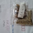 강한나님붉은피마자잘도착했어요 이미지