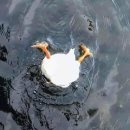 동남아삘 | 동남아를 거부하는 동양인의 태국여행 (패키지)