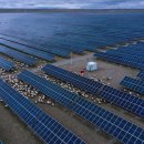 푸른 태양광 발전소 이미지