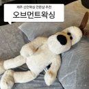 오브먼트 | 제주 산전 왁싱 추천, 임산부 왁싱 전문 과정 '오브먼트 왁싱' 솔직후기 (통증, 샤워실 완비)