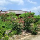 솔과황토 이미지