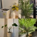 지니짐PT센터 | 군포pt 체계적으로 배울 수 있는 곳, 지니짐PT센터