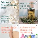 자연공방소제