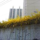 삼성아파트 이미지