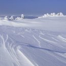 돈내코, 한라산 눈꽃 산행 / 14만원 이미지