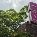 강남 마사지샵 YJ스파앤왁싱, 뭉친 근육을 부드럽게 녹여준 시간후기!