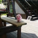 솔모닝펜션 이미지