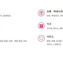 반려견 이해하기(펫) 이미지