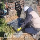 조천리금대 이미지