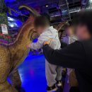 (주)지나월드 | 용인 실내 가볼만한곳 추천 공룡 좋아하는 아이라면 무조건 가봐야하는 공룡월드 용인점 방문 후기