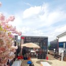 청도타임리스풀빌라 | 청도감성숙소 자연 속에서 시간의 흐름을 잊게 만드는 청도 타임리스 풀빌라 후기