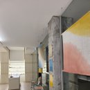 호이테안경 이미지