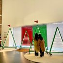 소망의 나무 이미지