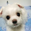 강림농장 이미지