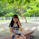 개진초등학교 이미지