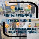 한국잡월드 4세아이 어린이체험관 26년 성남직업...후기 + 키자니아랑 차이 (피자가게, 건설 탐험대...