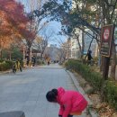 호암어린이공원2 이미지