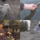 개미용실 이미지