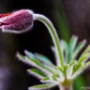 서리산농장 이미지