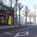 준갤러리 이미지